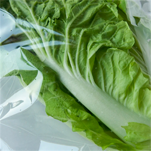 食品級(jí)高阻隔膜